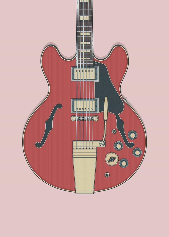 Vintage Signature Guitar
