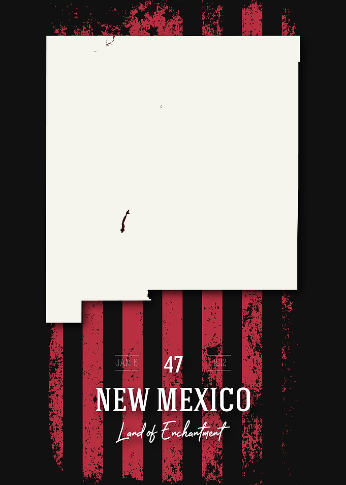 New Mexico State Map USA