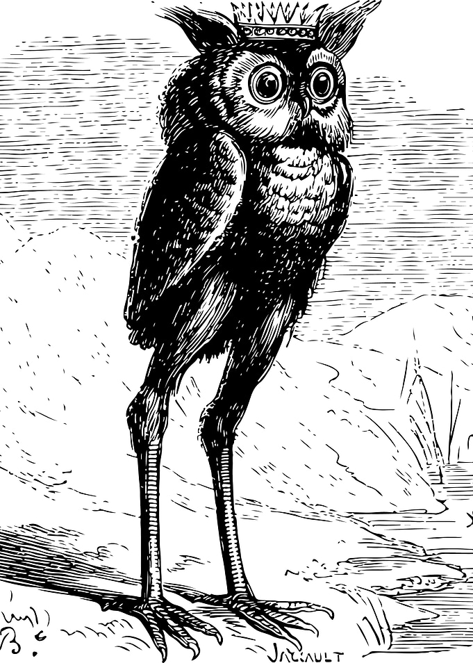 Stolas