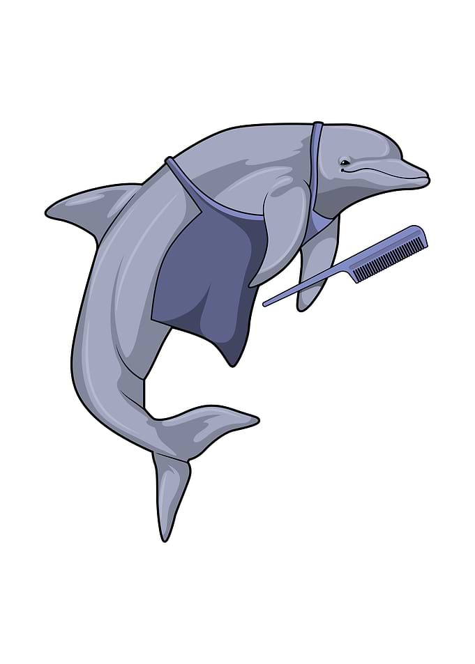 Dolphin Hairdresser Comb