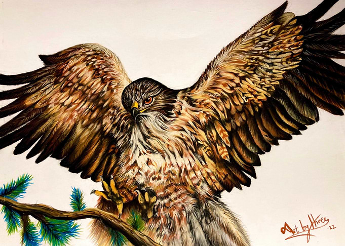 Golden Eagle