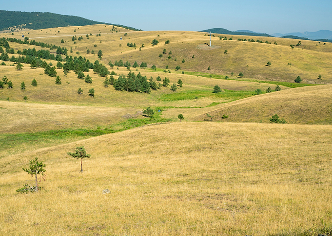 Zlatibor