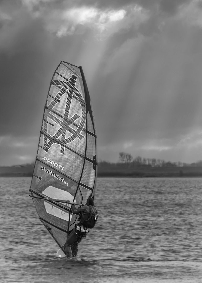 The windsurfer