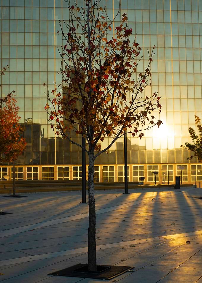 Autumn in the city