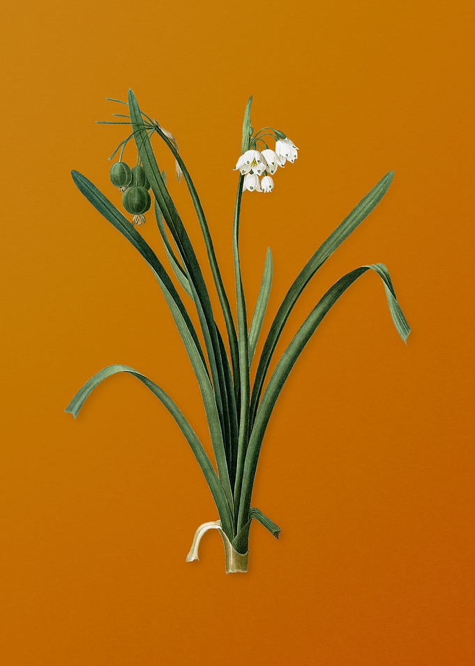 Vintage Summer Snowflake