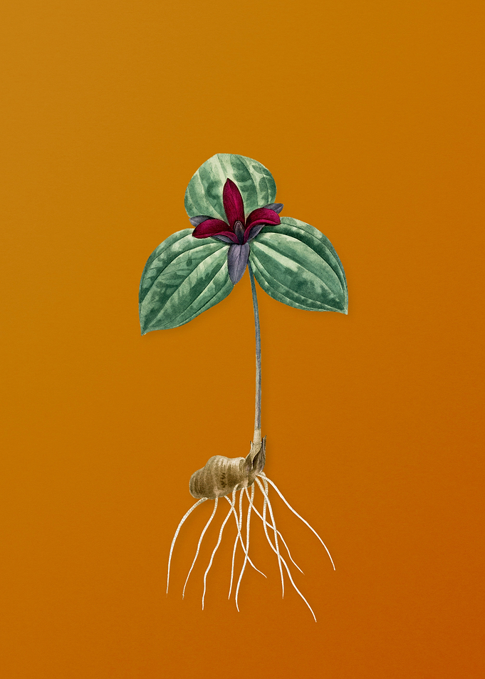 Vintage Orange Tri Flower