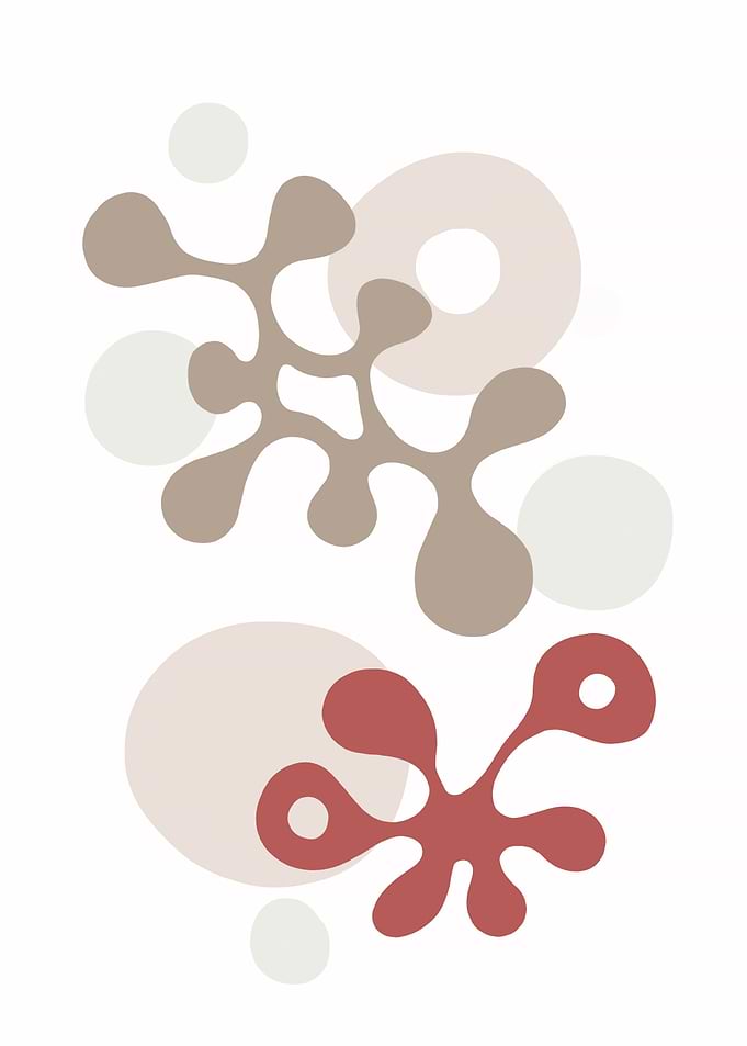 Twisted Beats No3 Corals