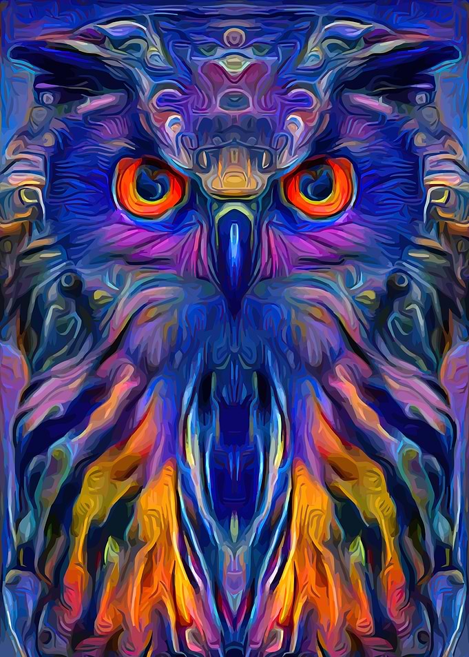 Owl Fairy Art