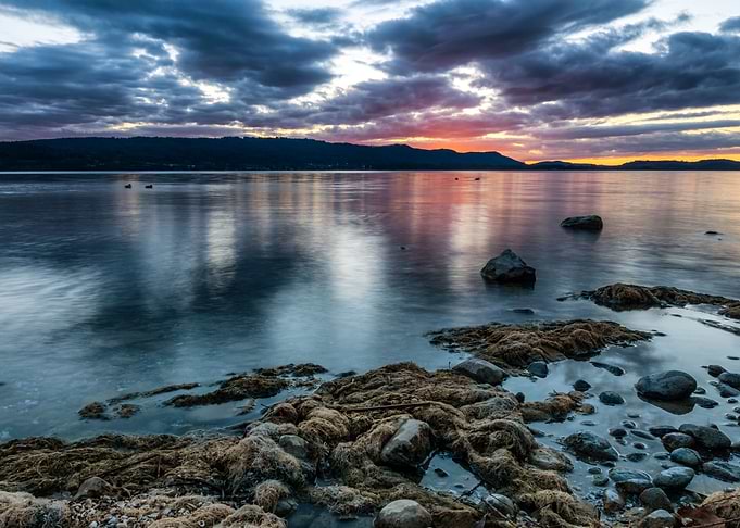 Magical blue hour