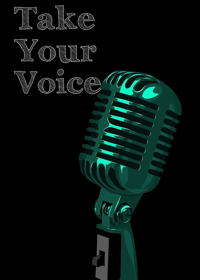 take your voice
