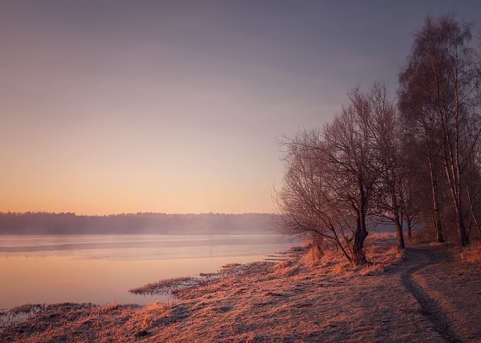 Winter morning in the park