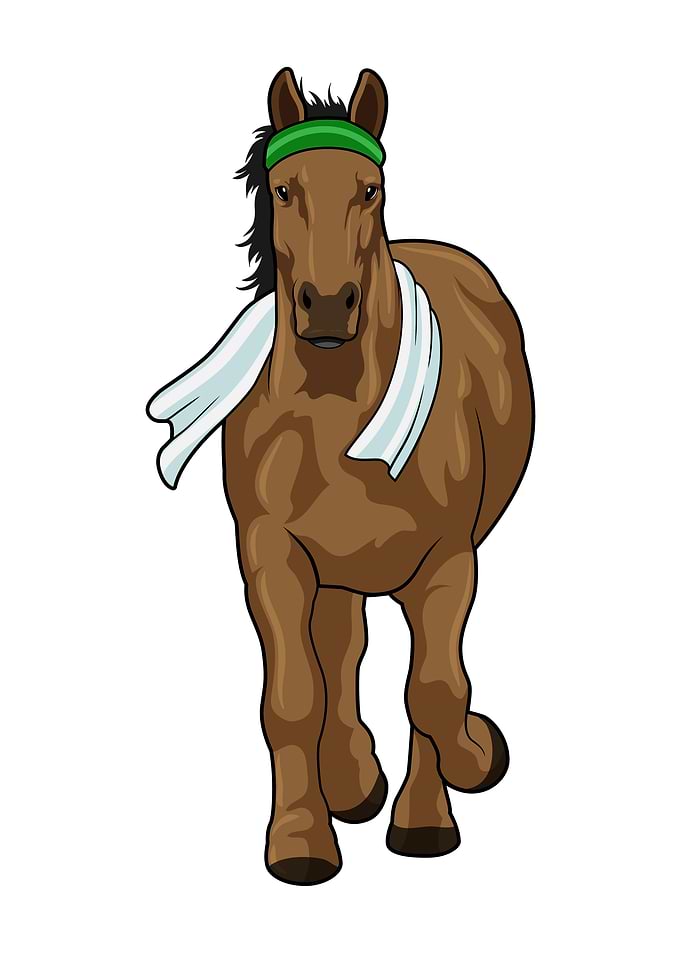 Horse Running Headband