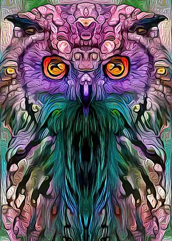 Owl Hypnotic Look