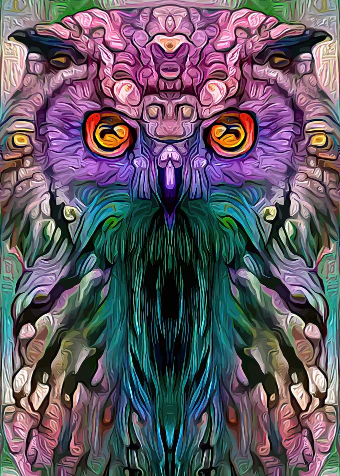 Owl Hypnotic Look