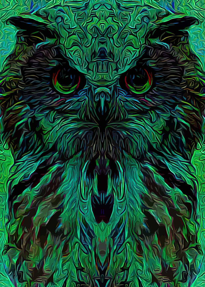 Owl Mysterious Forest