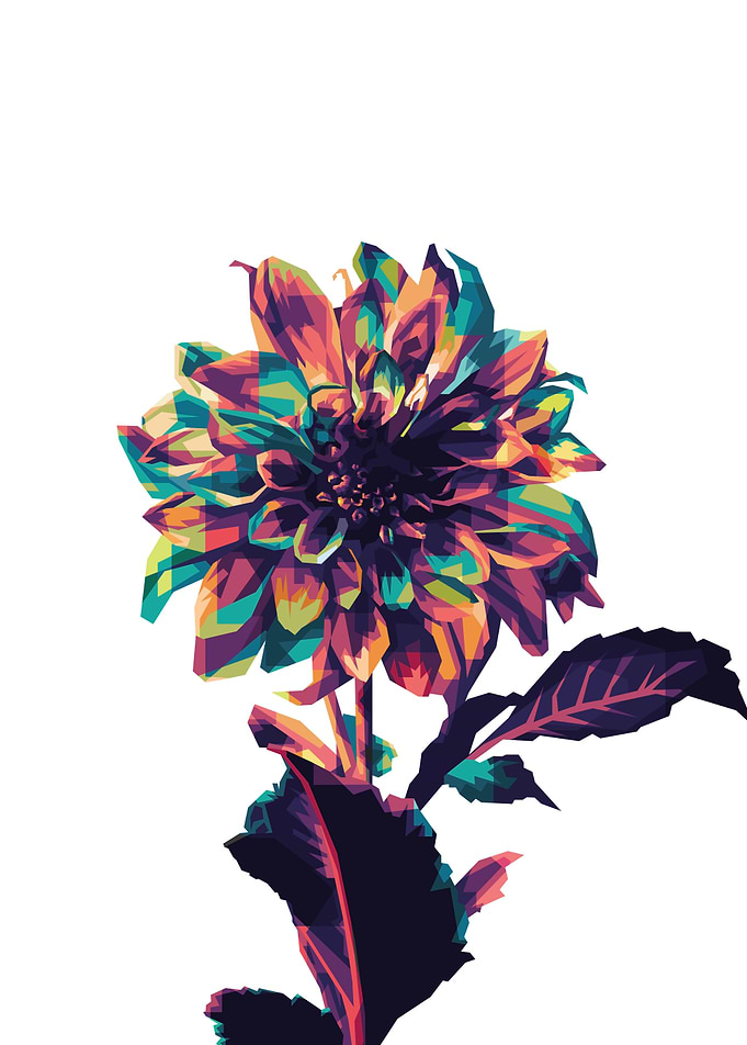 Rainbow Flower