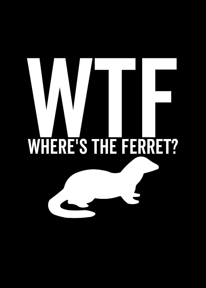 WTF Wheres The Ferret
