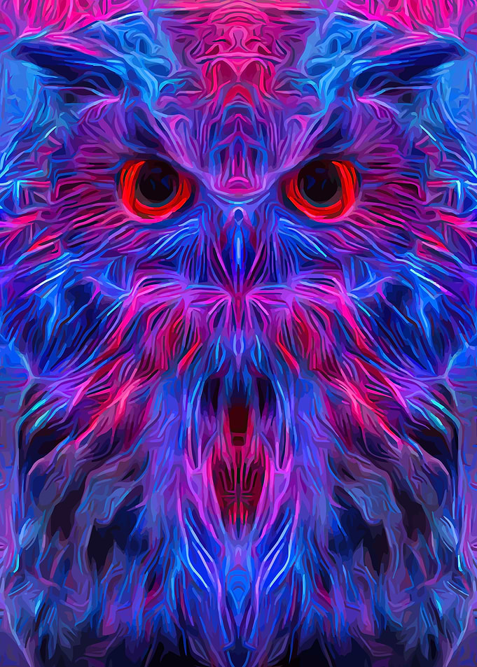 Owl Mystery Portrait