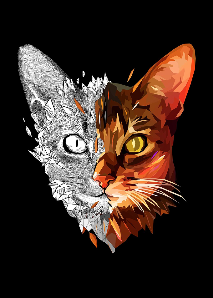 GeoSketch Cat