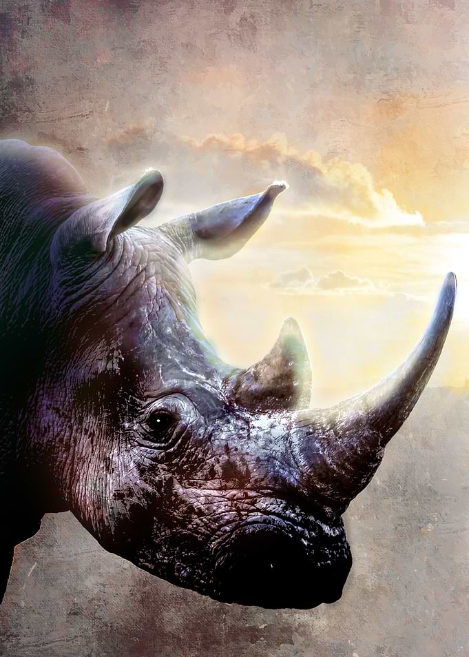 Rhino