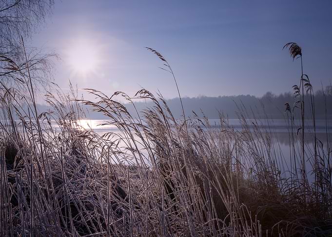 Winter sunrise, wild river