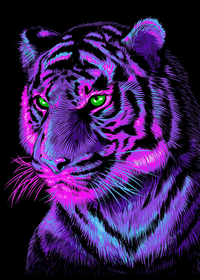 Lilac tiger