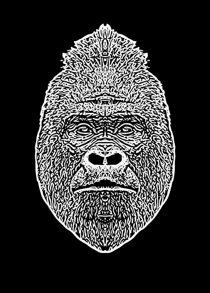 Black and White Gorilla