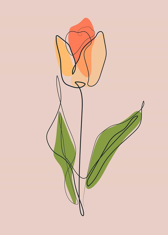 Rose continuous line art