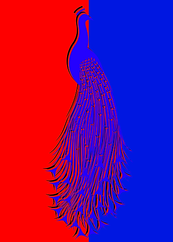 Peacock Design 3D