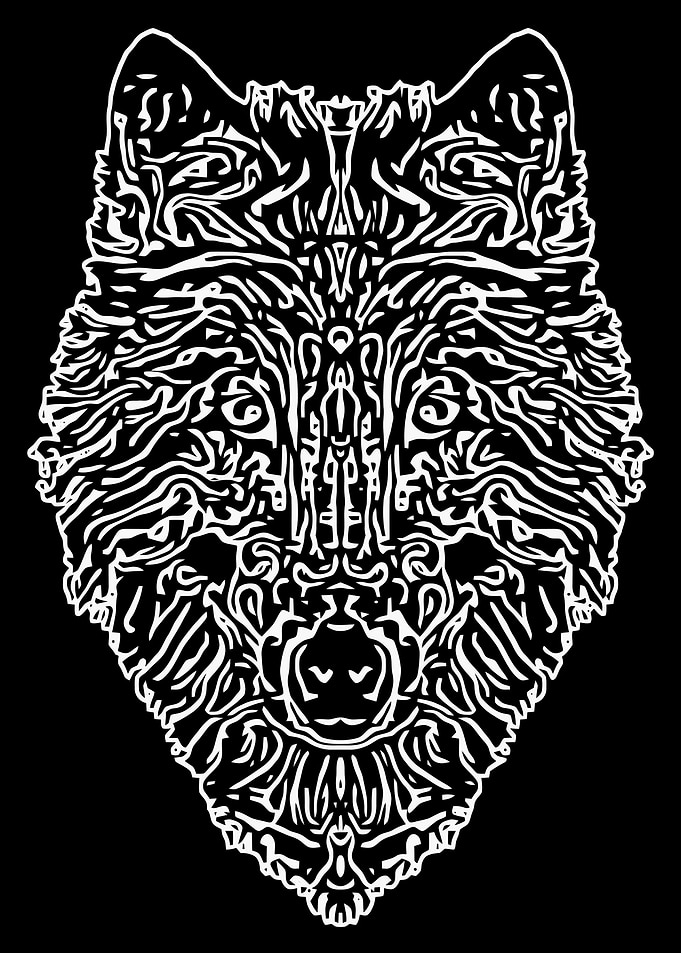 Black and White Wolf