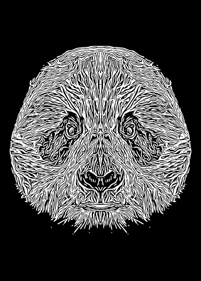 Black and White Panda