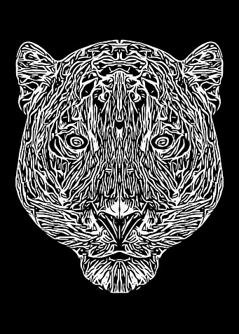 Black and White Leopard