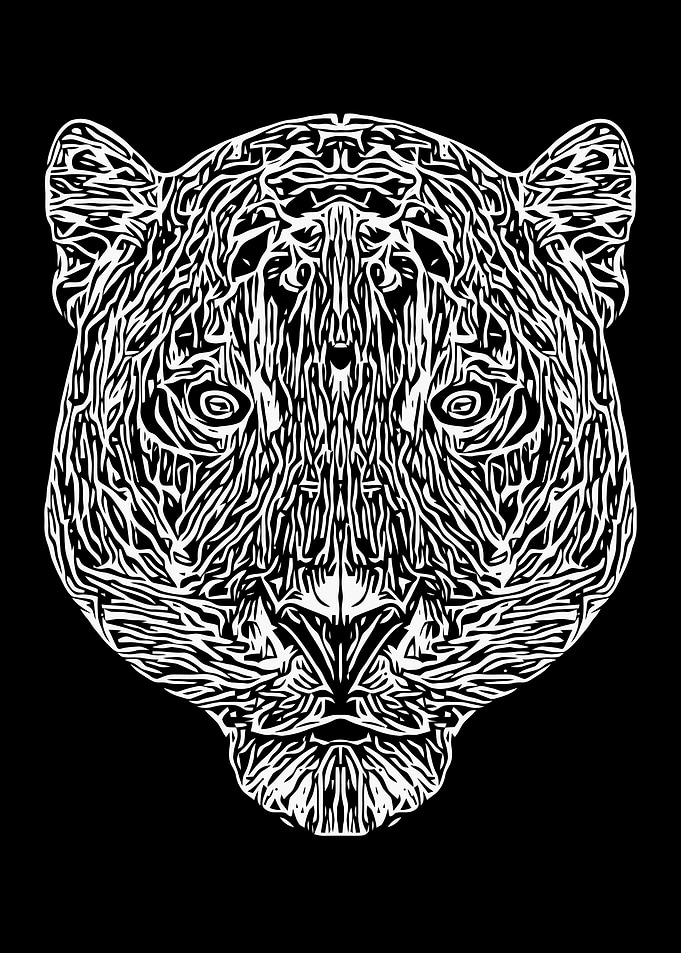 Black and White Leopard