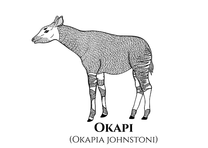Okapi Art with Latin Name
