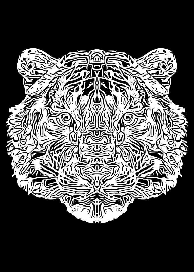 Black and White Tiger