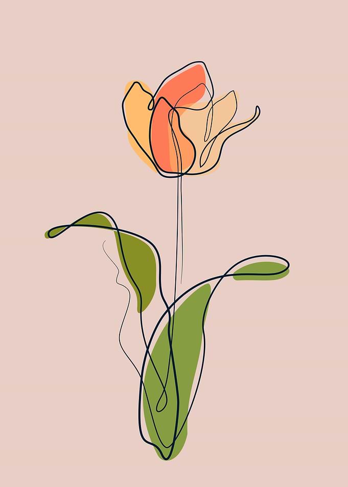 Rose flower one line art