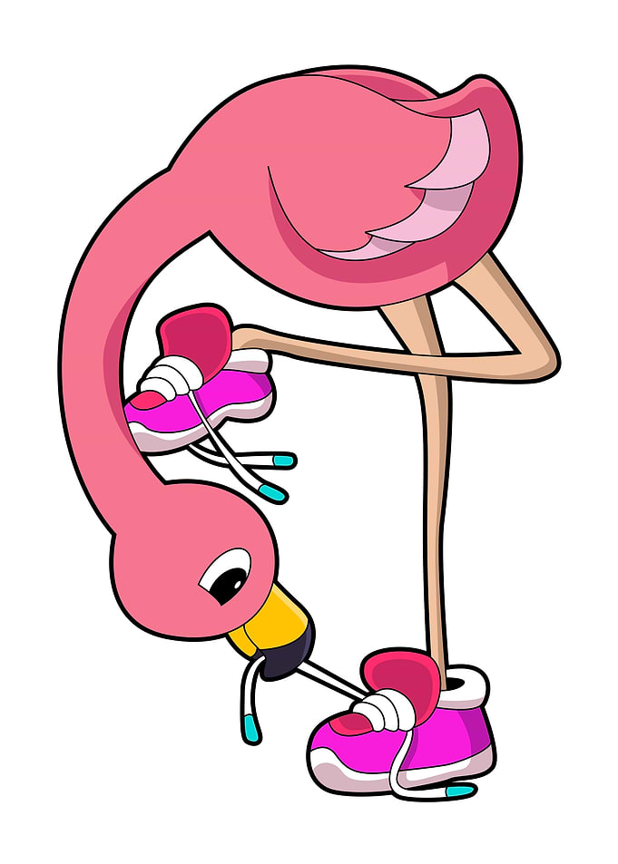 Flamingo Shoes