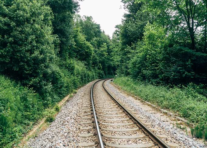 Railroad in the Forest