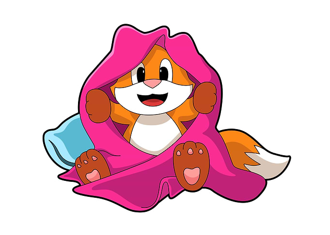 Fox Pillow Blanket