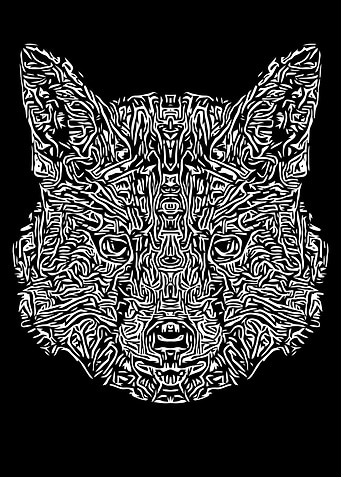 Black and White Fox