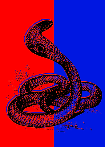 Snake Design 3D