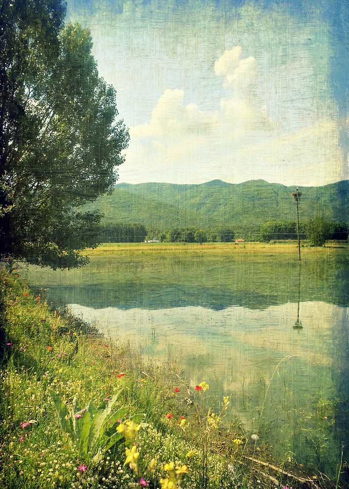 Spring green lake shore