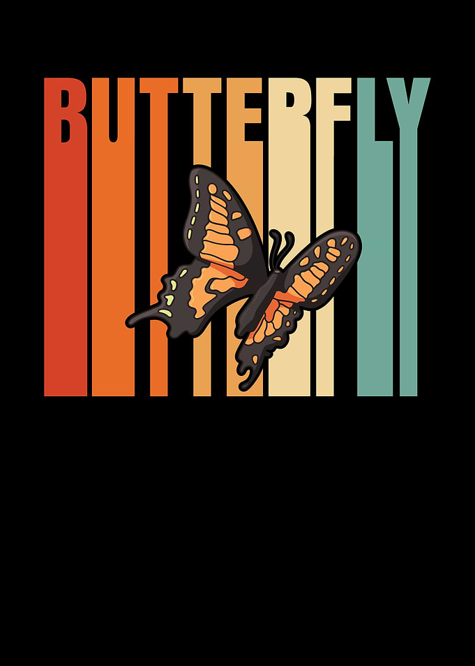 Butterfly Colorful