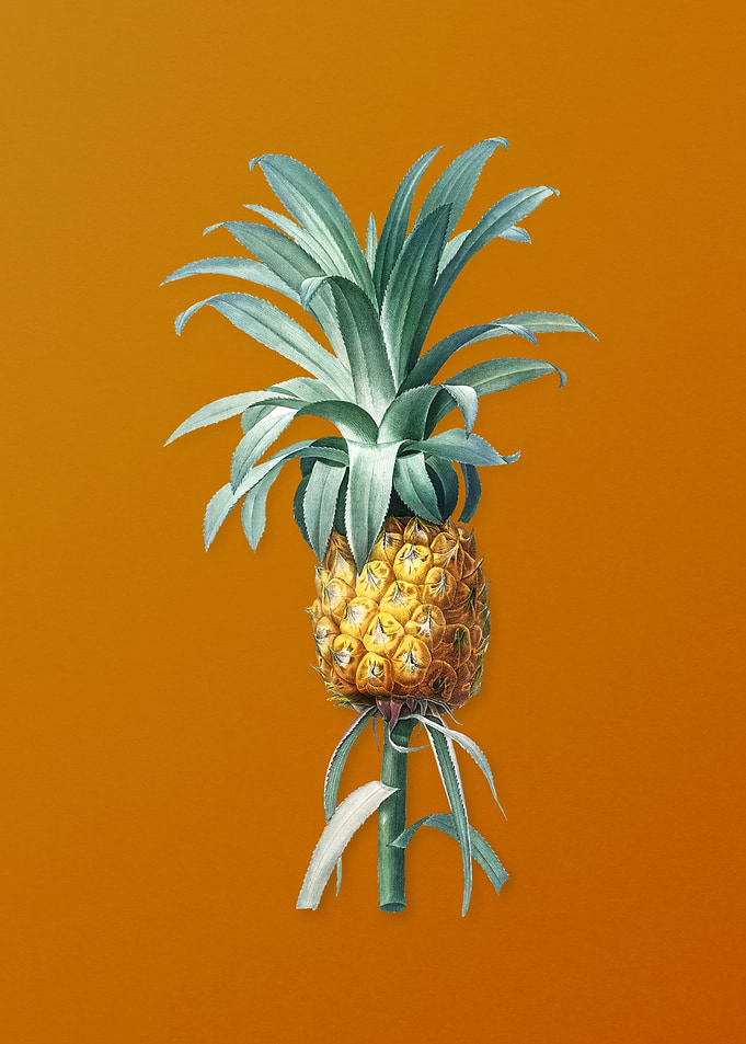 Vintage Pineapple Fruit