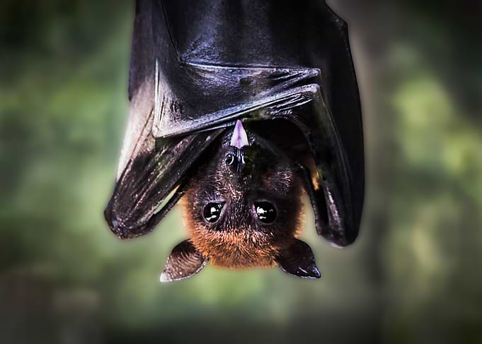 Up side down