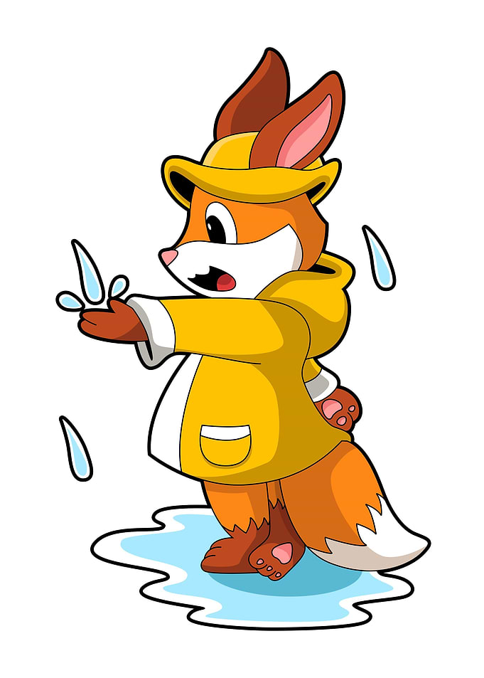 Fox Rain Water
