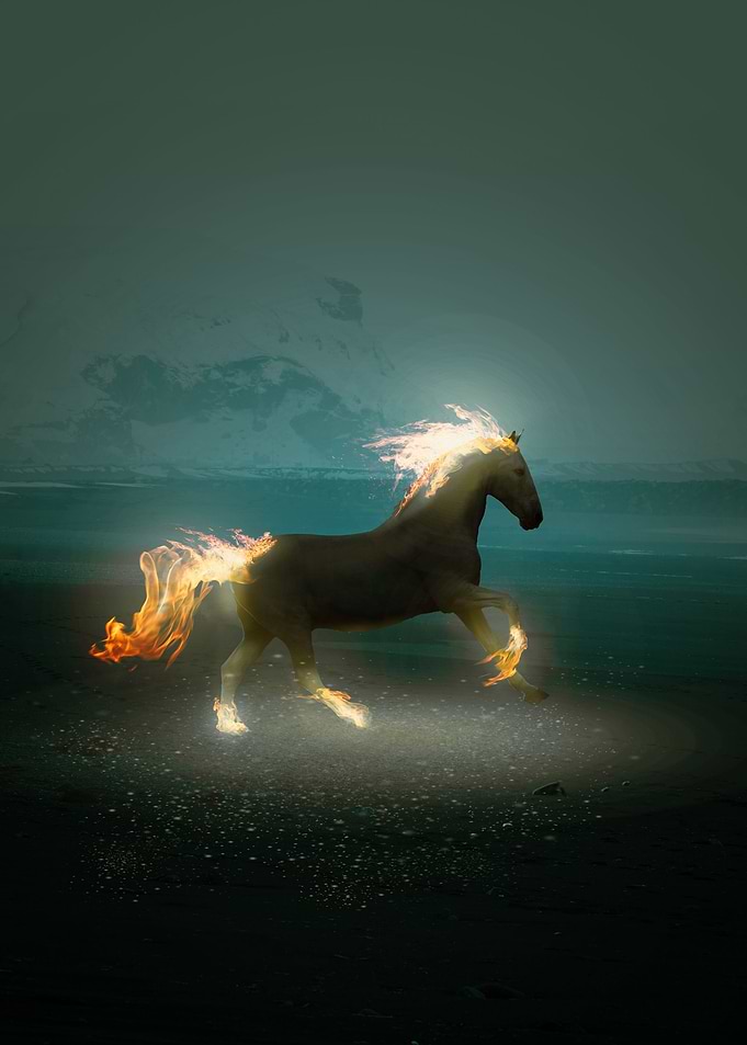 Fire Run