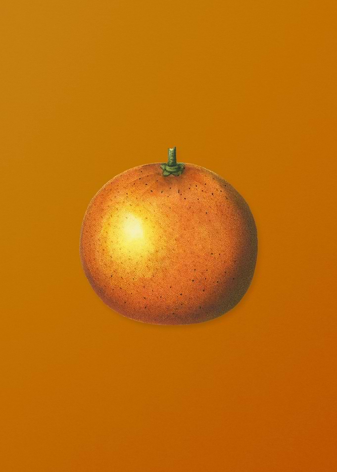 Vintage Orange Fruit