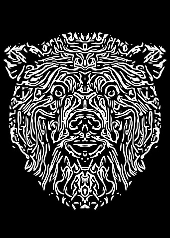 Black and White Bear