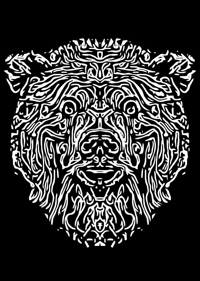 Black and White Bear